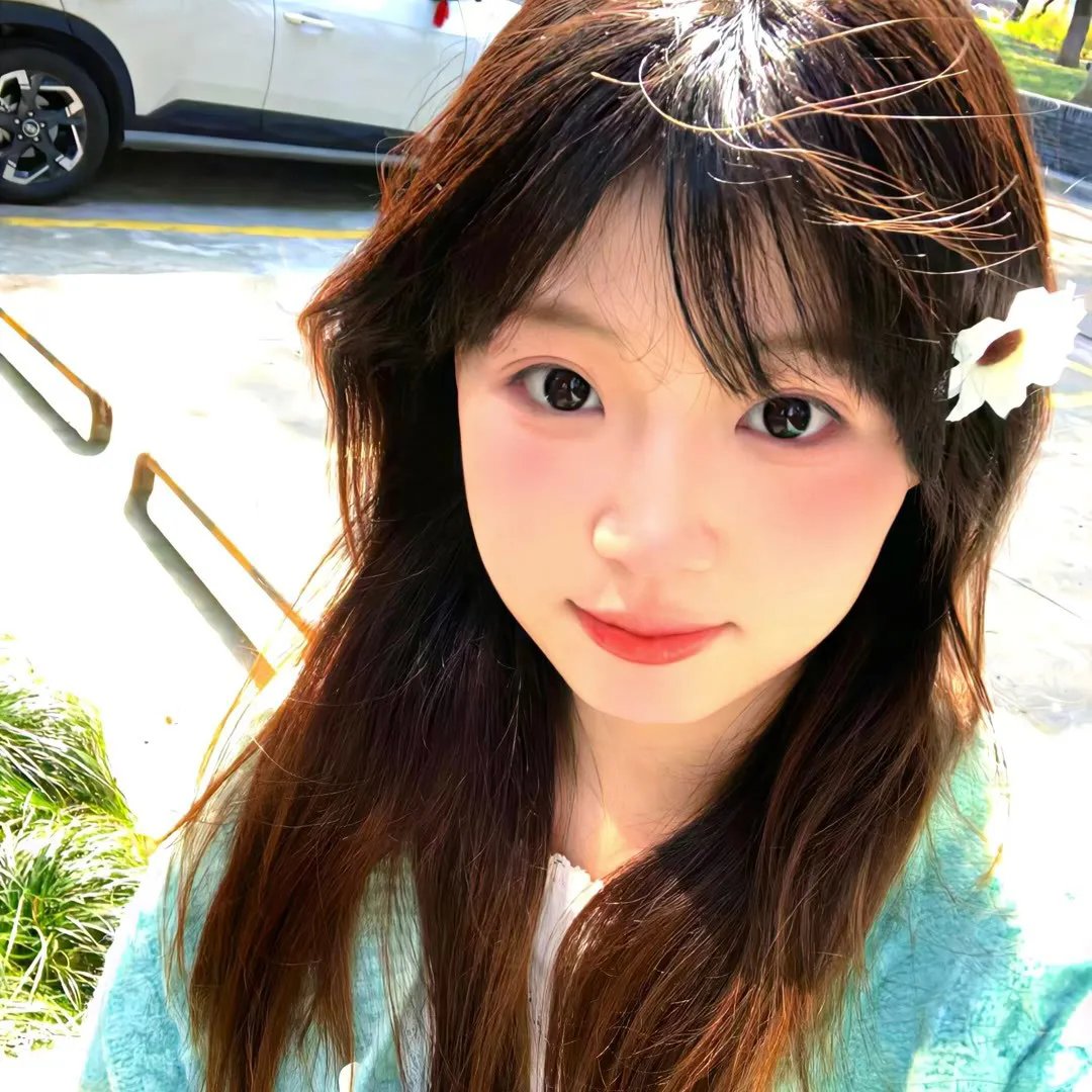 小黄花青草地封面